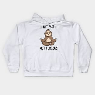 Not Fast Not Furious Tshirt, Funny Shirt, Sloth Yoga Shirt Kids Hoodie